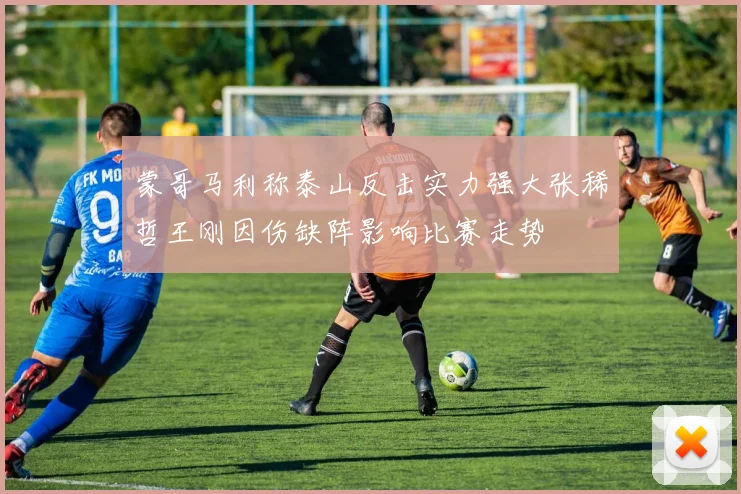蒙哥马利称泰山反击实力强大张稀哲王刚因伤缺阵影响比赛走势