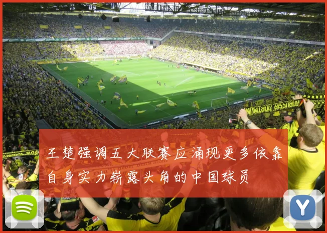 王楚强调五大联赛应涌现更多依靠自身实力崭露头角的中国球员