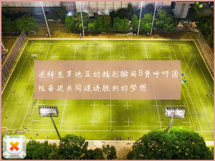 逆转克罗地亚的精彩瞬间B费呼吁团结奋进共同追逐胜利的梦想